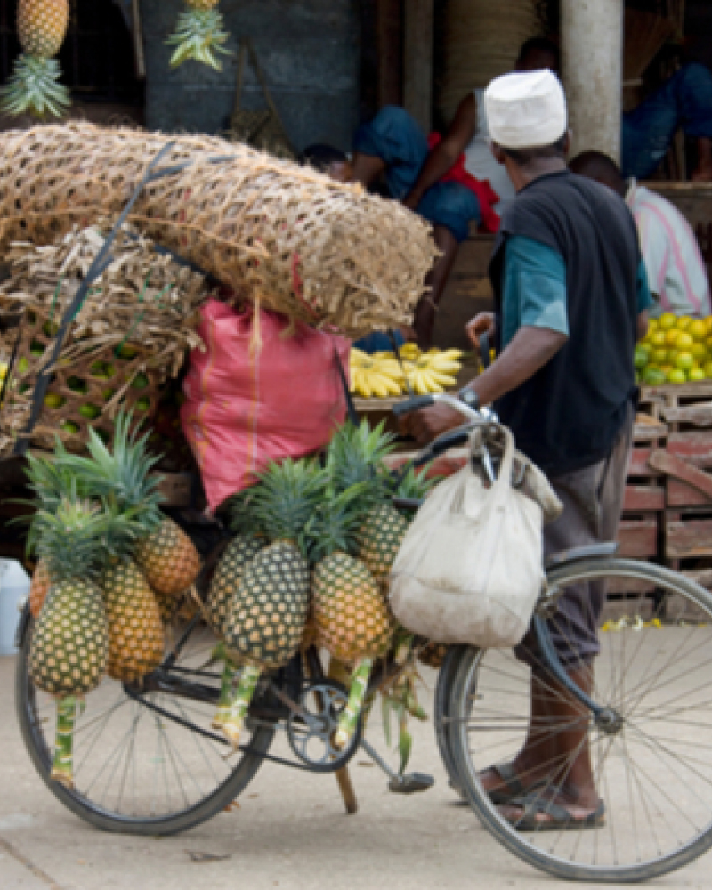 chake-chake-city-tour-from-micheweni-or-mkoani.-01